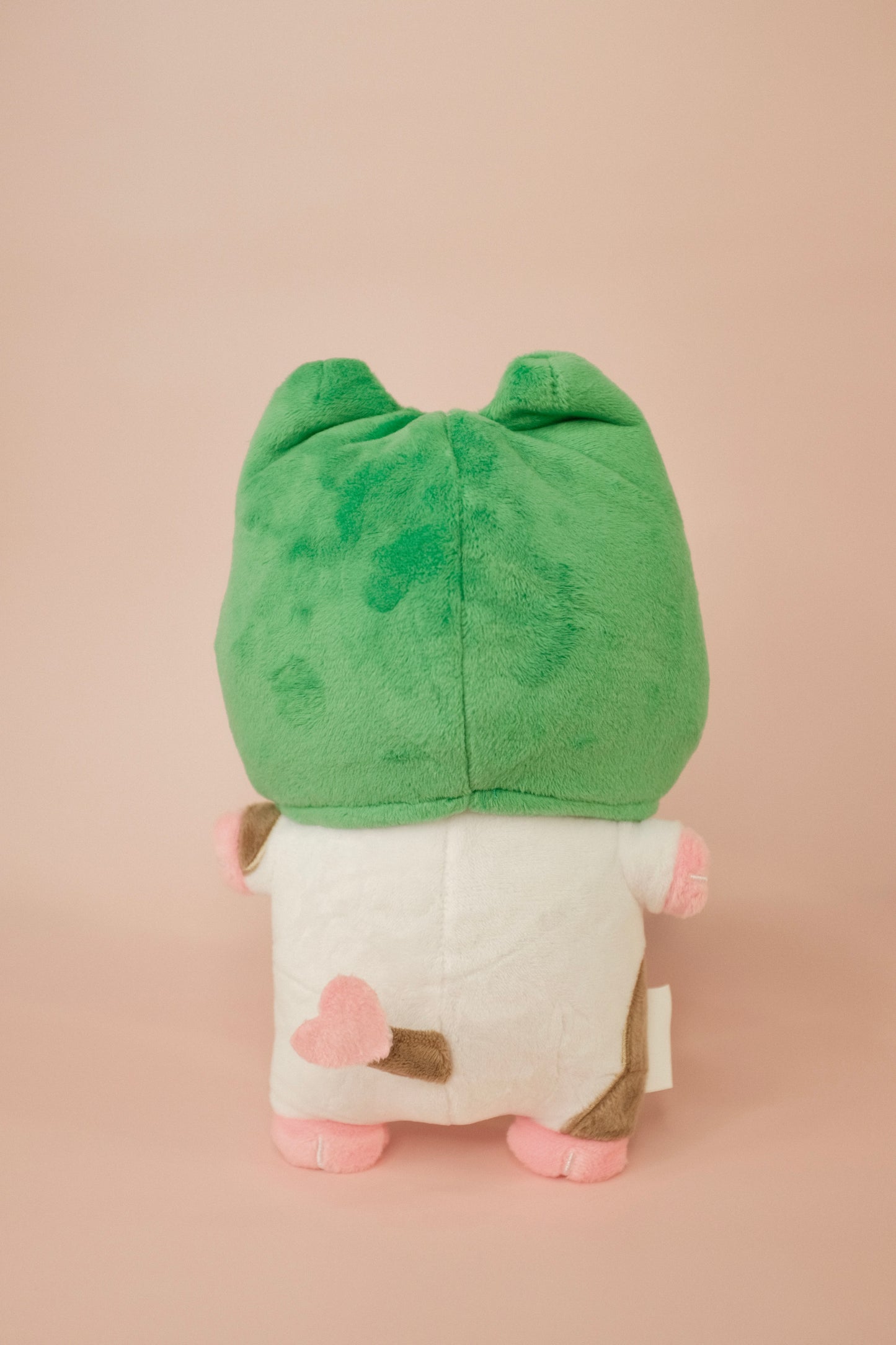Frog Removable Hat for Mooly Plushies